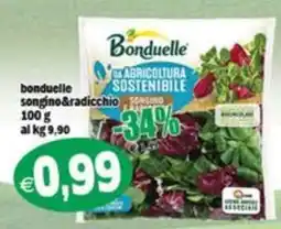Il Castoro Supermercati Bonduelle songino&radicchio offerta