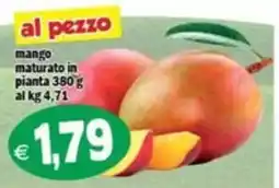 Il Castoro Supermercati mango maturato in pianta offerta