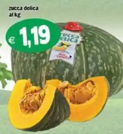 Il Castoro Supermercati Zucca delica offerta