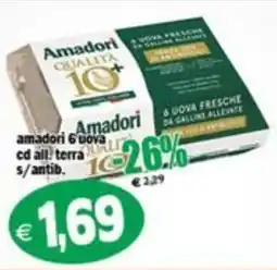 Il Castoro Supermercati Amadori uova fresche offerta