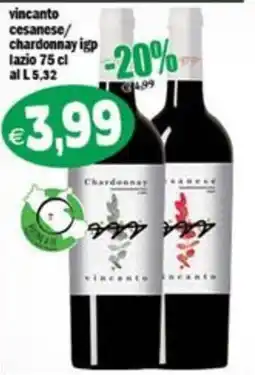 Il Castoro Supermercati vincanto cesanese/chardonnay igp offerta