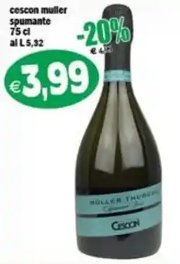 Il Castoro Supermercati Cescon muller spumante offerta