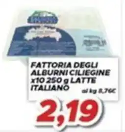 MA Supermercati Fattoria degli Alburni Ciliegine Latte Italiano offerta