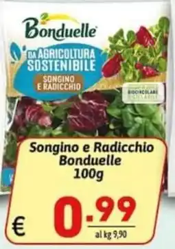 Ipercarni Songino e Radicchio Bonduelle offerta