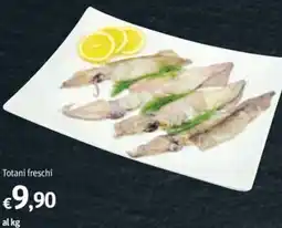 Futura Supermercati Totani freschi offerta