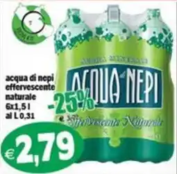 Il Castoro Supermercati Acqua di Nepi offerta