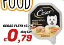 Idromarket Cesar Flexi offerta