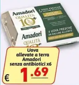 Ipercarni Uova allevate a terra Amadori senza antibiotici offerta