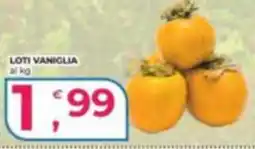 Alter Discount Loti vaniglia offerta