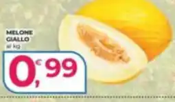 Alter Discount Melone giallo offerta