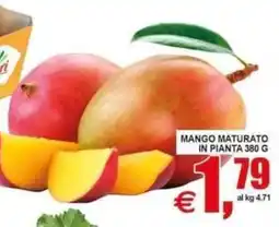 Pewex Mango maturato in pianta offerta