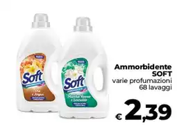 Ipercoop Radenza Ammorbidente Soft offerta