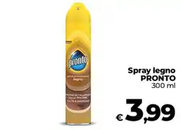 Ipercoop Radenza Spray legno PRONTO offerta
