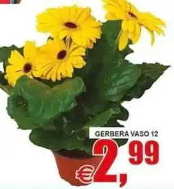 Pewex Gerbera Vaso offerta