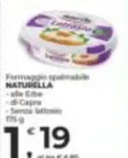 Alter Discount Formaggio spalmabile NATURELLA offerta