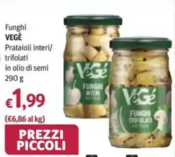 Futura Supermercati Funghi VEGÈ offerta