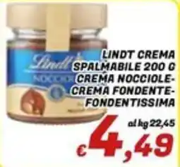 Idromarket Lindt crema spalmabile offerta