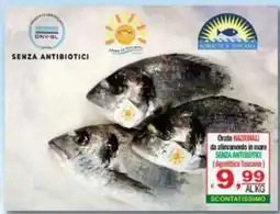 CTS Supermercati Orate Nazionali (AgroTtica Toscana) offerta