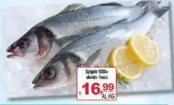 CTS Supermercati Spigole 1000+ offerta