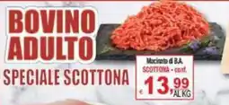 CTS Supermercati Bovino adulto speciale scottona offerta