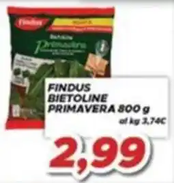 MA Supermercati Findus Bietoline Primavera offerta