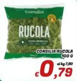 Idromarket Consilia Rucola offerta