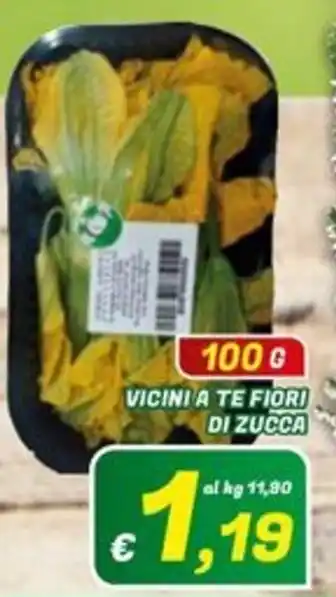 Vicini a te fiori di zucca