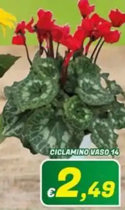 Idromarket Ciclamino vaso 14 offerta