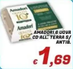 Idromarket Amadori uova offerta