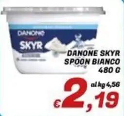 Idromarket Danone Skyr Spoon Bianco offerta