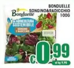 Sacoph Bonduelle songino e radicchio offerta