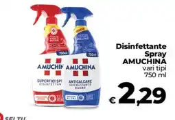 Coop Radenza Disinfettante Spray Amuchina offerta