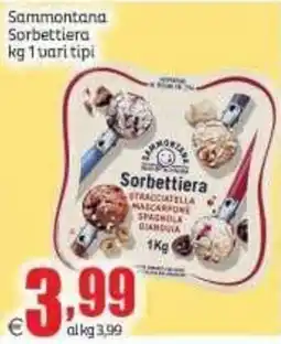 Elite Sammontana Sorbettiera offerta