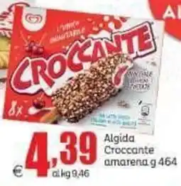 Elite Algida Croccante amarena offerta