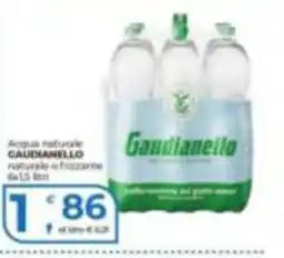 Alter Discount Acqua naturale Gaudianello offerta