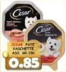 MercADone Cesar Pate' Vaschette offerta