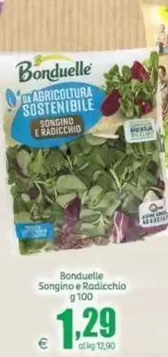 Elite Bonduelle Songino e Radicchio offerta