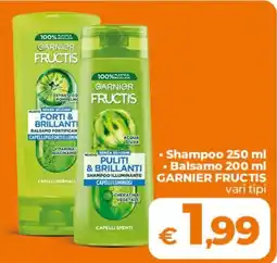 Ipercoop Radenza Garnier Fructis offerta