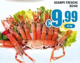 Sacoph Scampi freschi offerta
