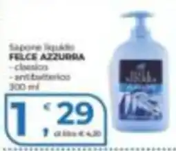 Alter Discount Sapone liquido Felce Azzurra offerta