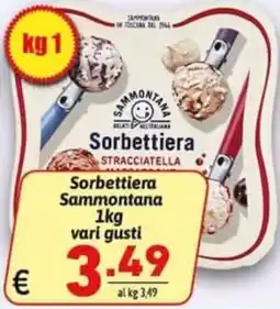 Ipercarni Sorbettiera Sammontana offerta