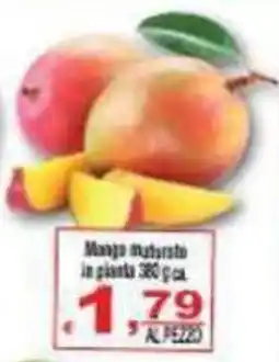 CTS Supermercati Mango maturato in pianta offerta
