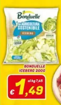 Idromarket Bonduelle Iceberg offerta