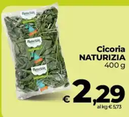 Ipercoop Radenza Cicoria Naturizia offerta