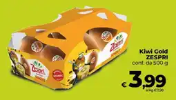 Ipercoop Radenza Kiwi Gold Zespri offerta