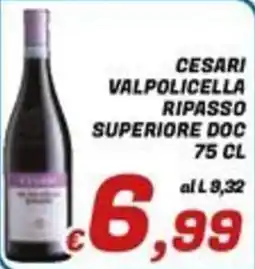 Idromarket Cesari Valpolicella Ripasso Superiore DOC offerta
