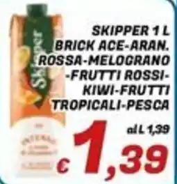 Idromarket Skipper brick ace-aran offerta