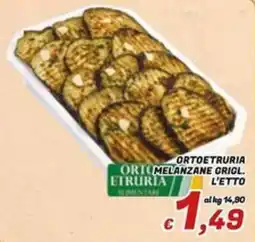 Idromarket Melanzane grigliate Ortoetruria offerta