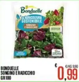 Supermercati EffePiù Bonduelle songino e radicchio offerta