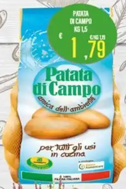 Supermercati EffePiù Patata di Campo offerta